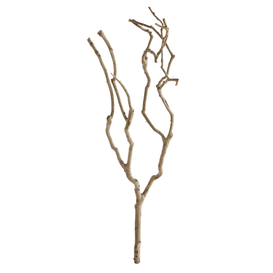 Tea Tree Branch DA6715