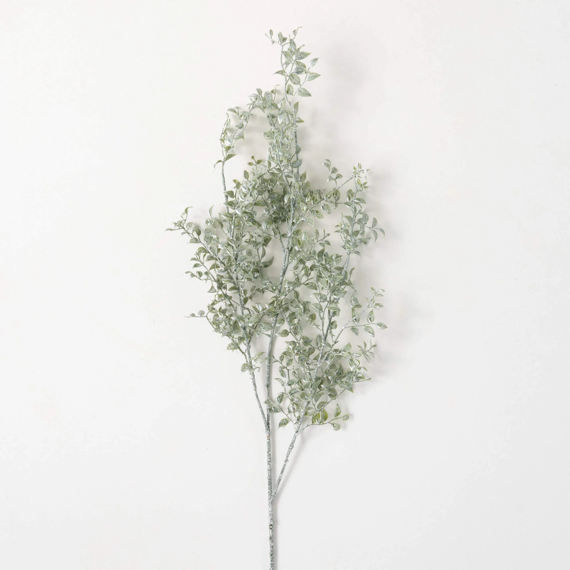 Smilax Stem - 36"