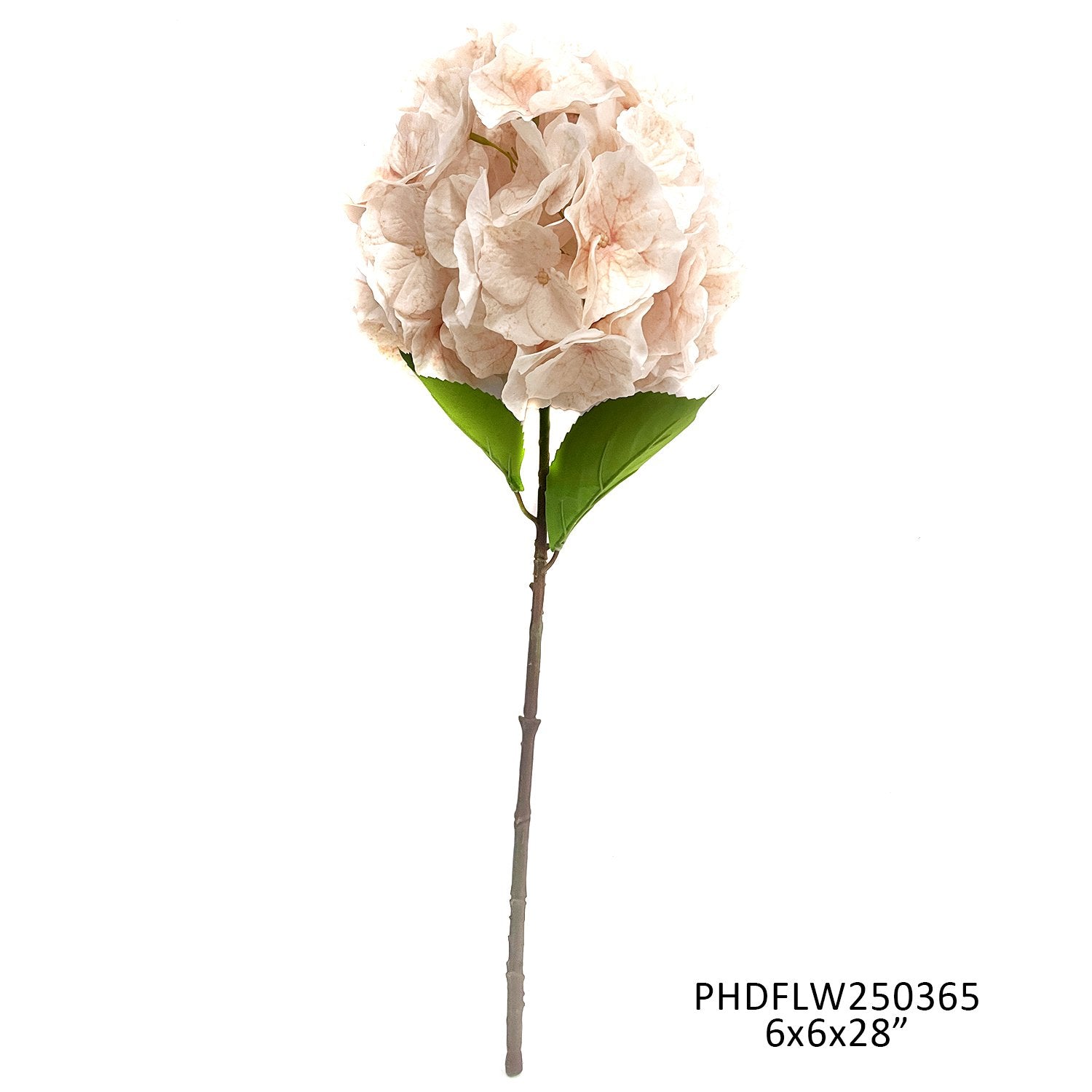 Jardin Hydrangea Stem Champagne