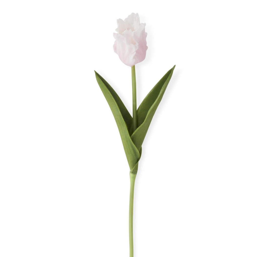 10.5" Pink Parrot Tulip 18878B-PK