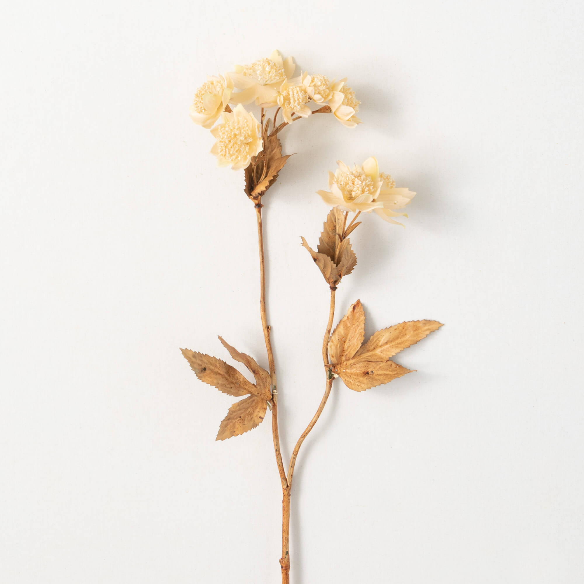 A faux clover spray with auburn leaves and beige flowers on a white background.