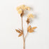 A faux clover spray with auburn leaves and beige flowers on a white background.