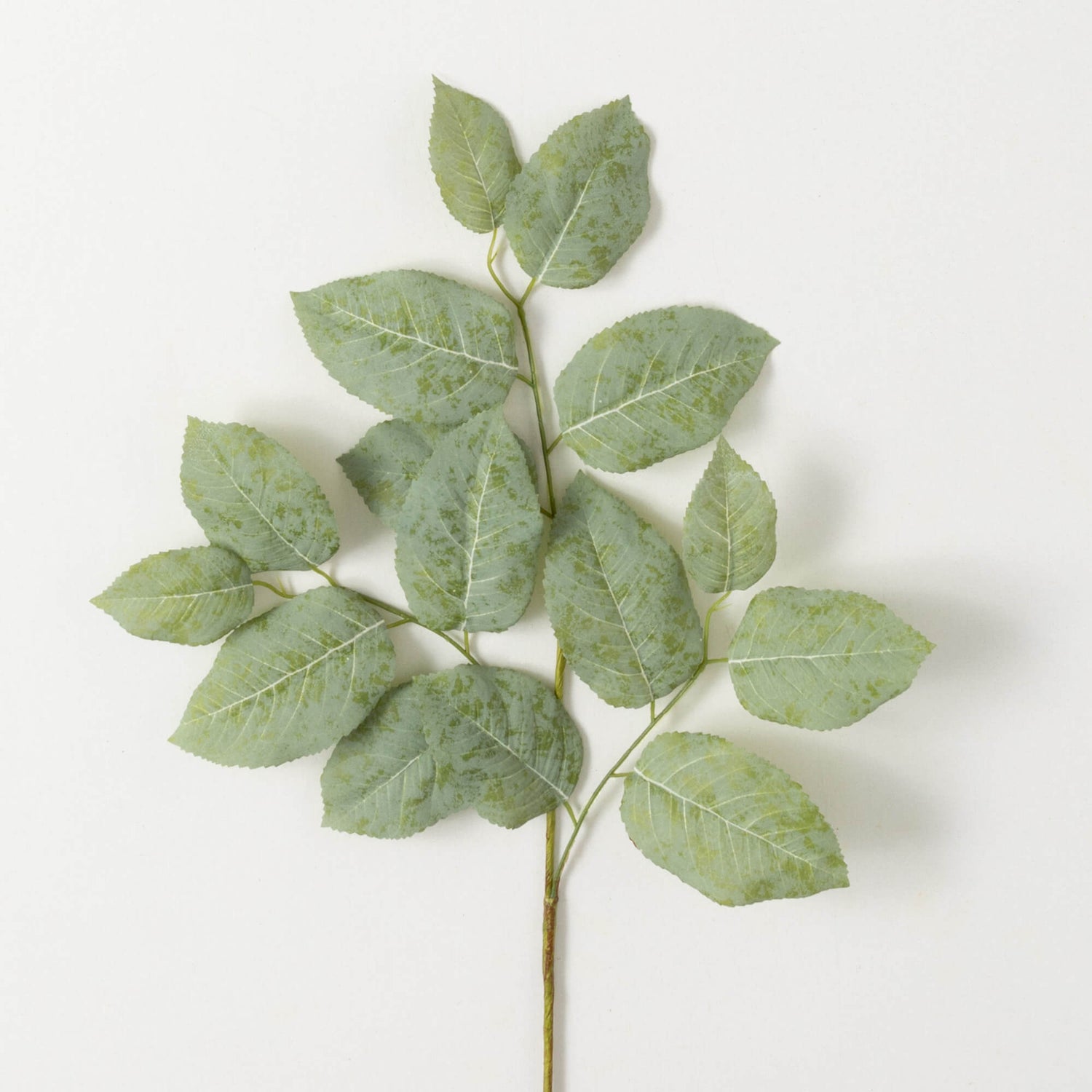 Lemon Leaf Stem - 26"