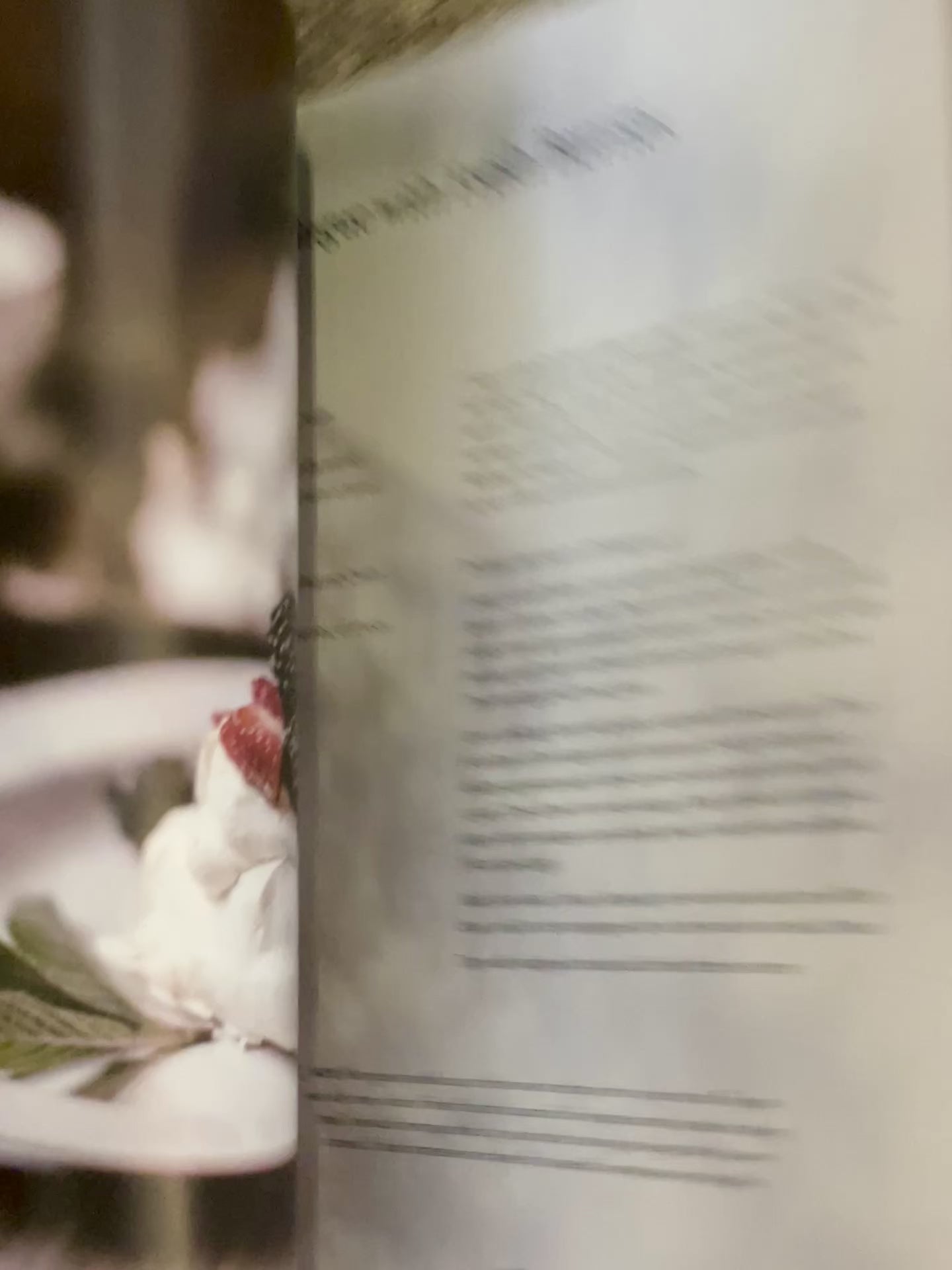 The Heirloomed Kitchen {Book}