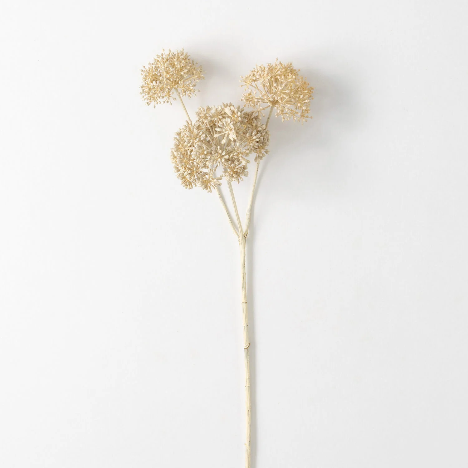 Seed Pod Spray 31" - Cream