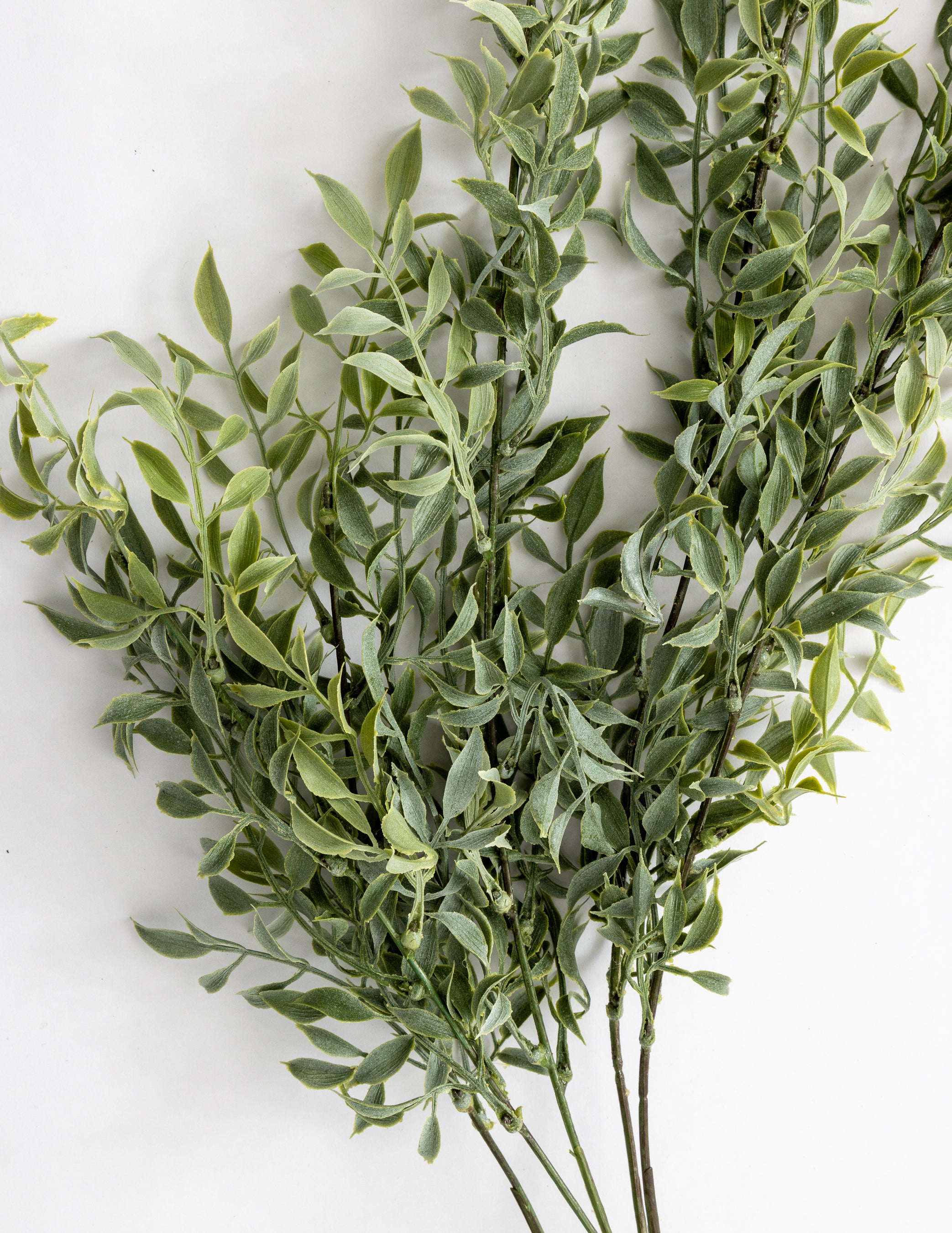 Tea Leaf Drop 34"