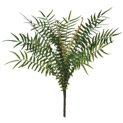 Fern Bush Spray