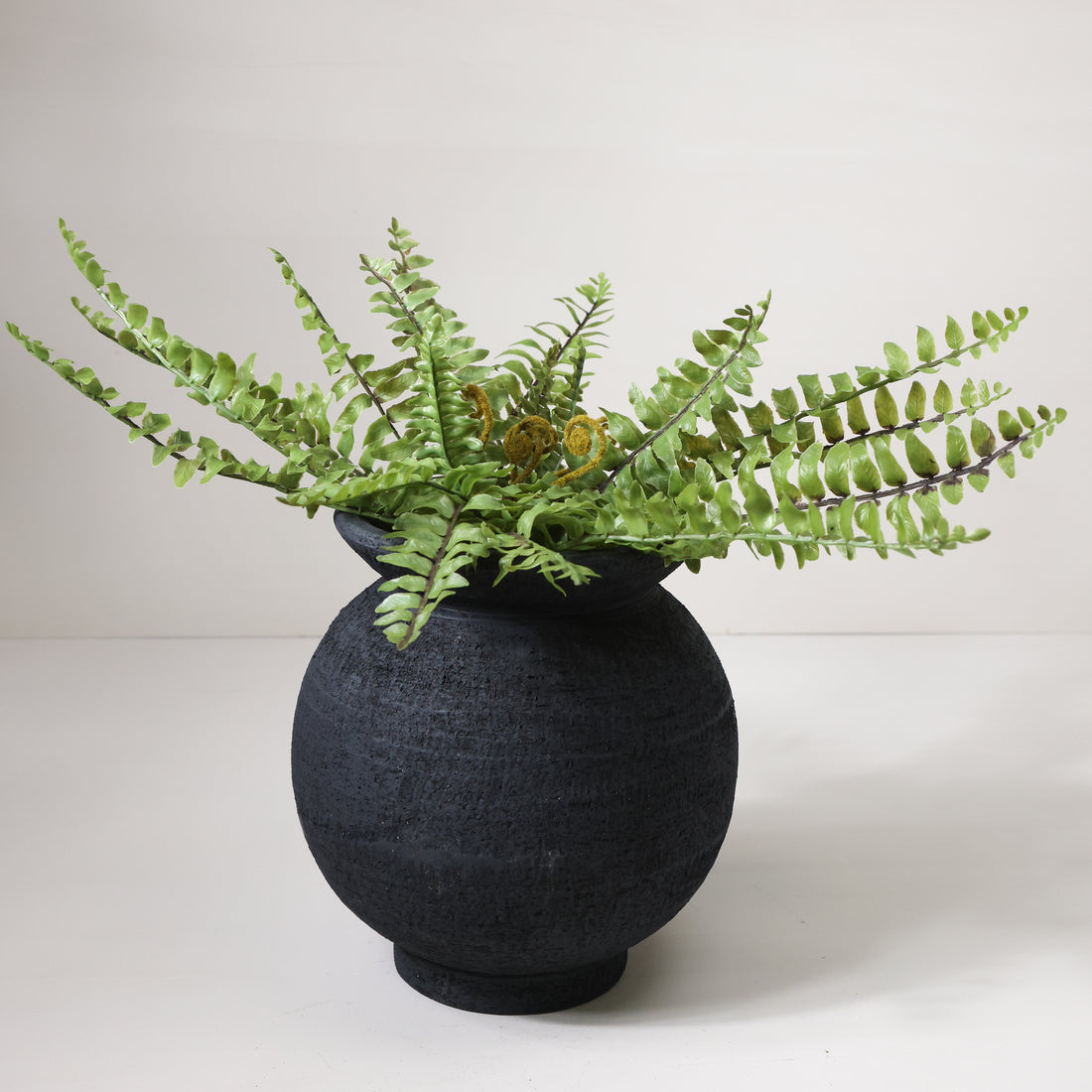 Boston Fern