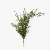 Draping Ruscus Bush  24"