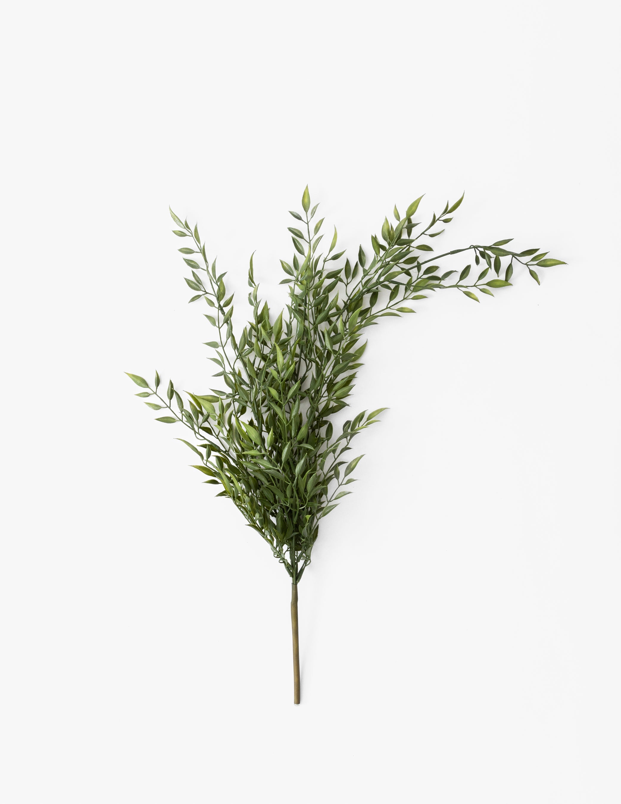 Draping Ruscus Bush  24&quot;