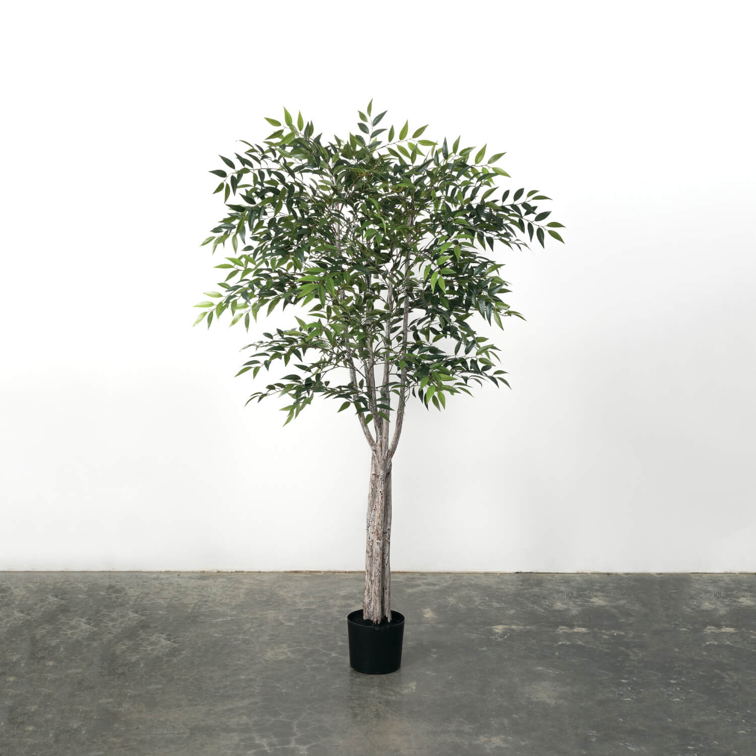 Smilax Tree - 6&