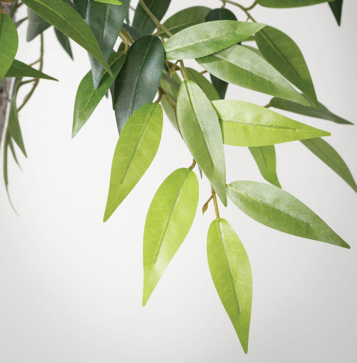 Smilax Tree - 6&