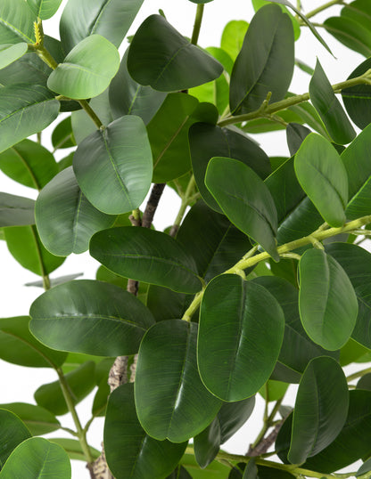 Faux Potted Rubber Tree