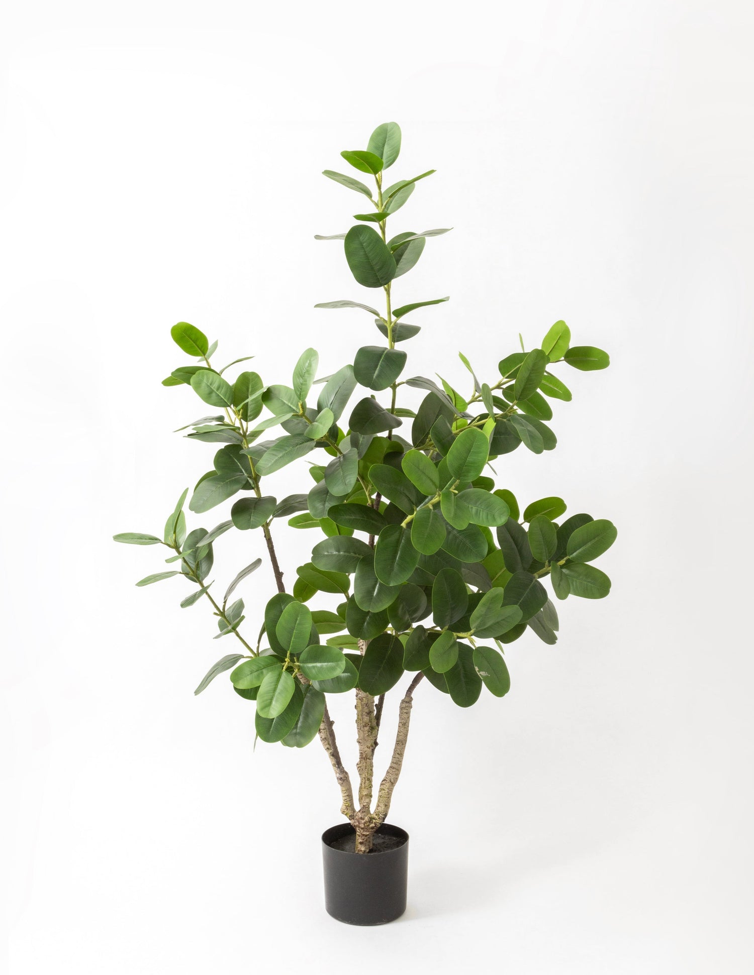 Faux Potted Rubber Tree