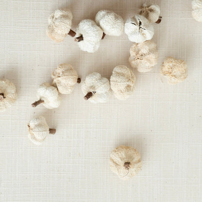 Mini Peepal Dried Pod Pumpkins