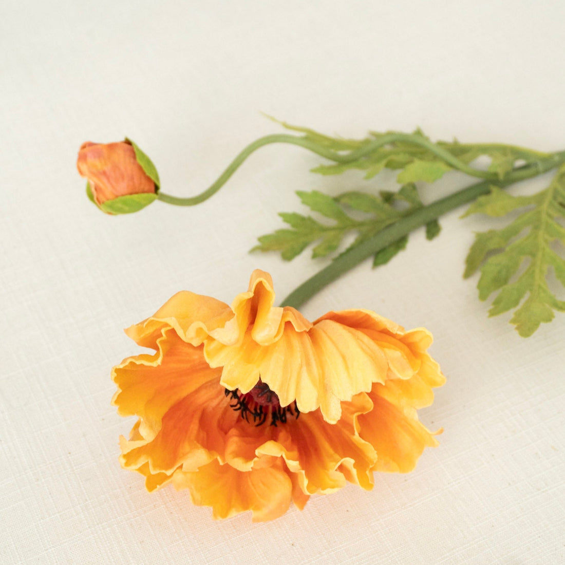Light Orange Poppy