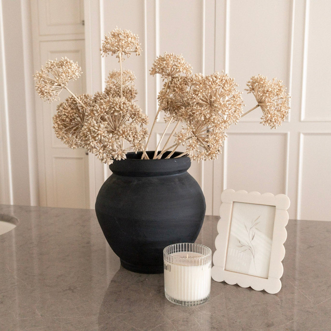 The Seed Pod Bundle