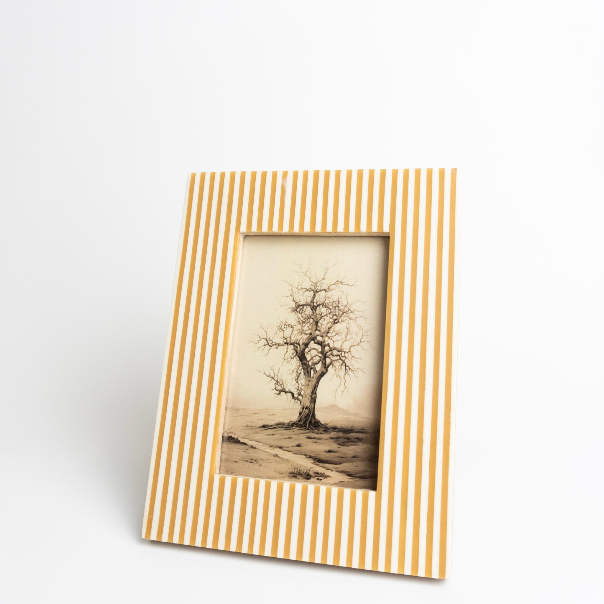4x6 Resin Stripe Photo Frame