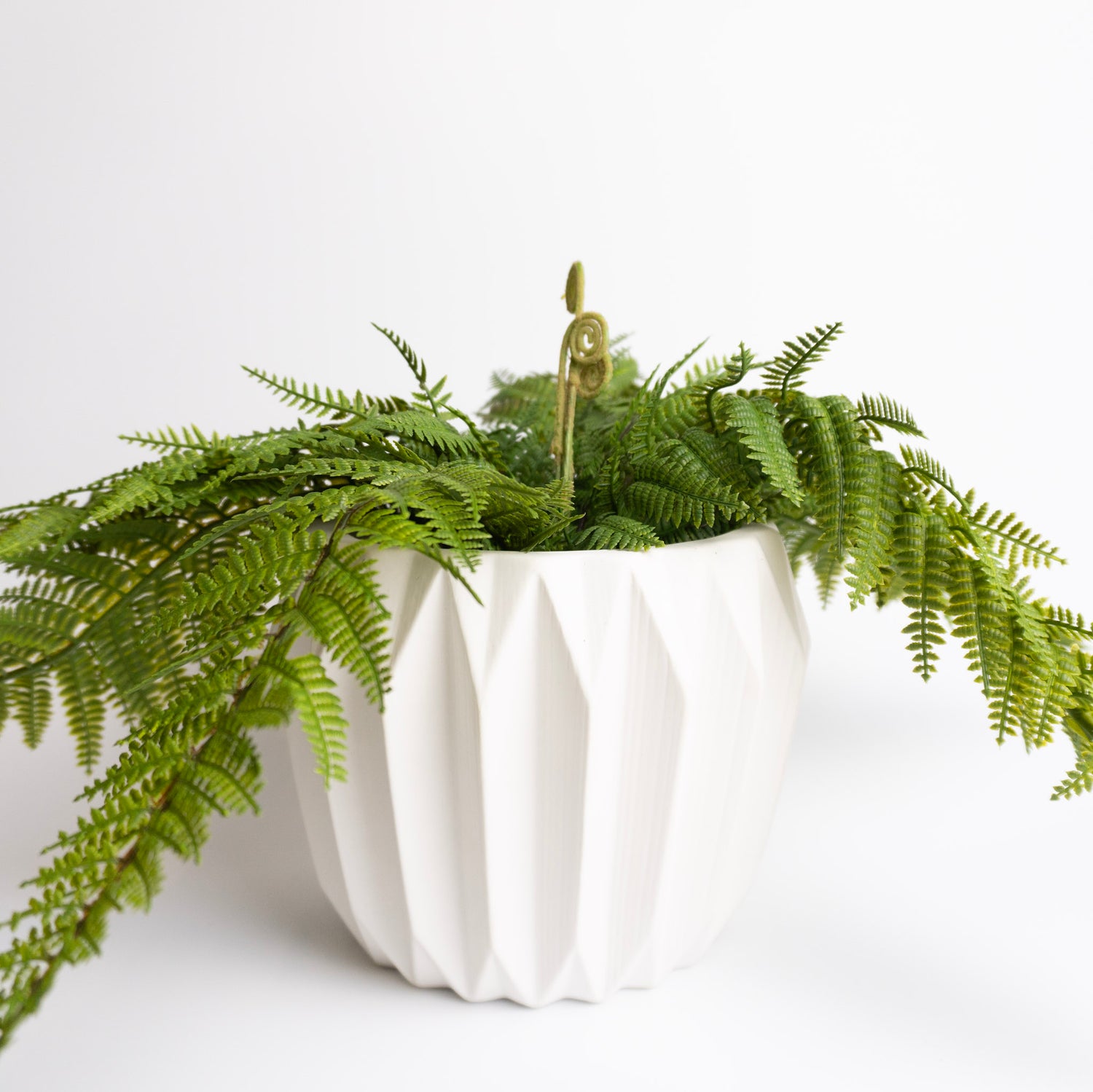 White Fluted Flower Pot