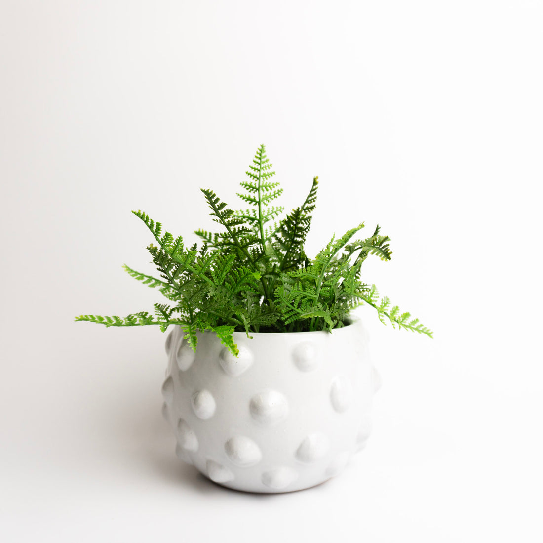 Round Terracotta Vase