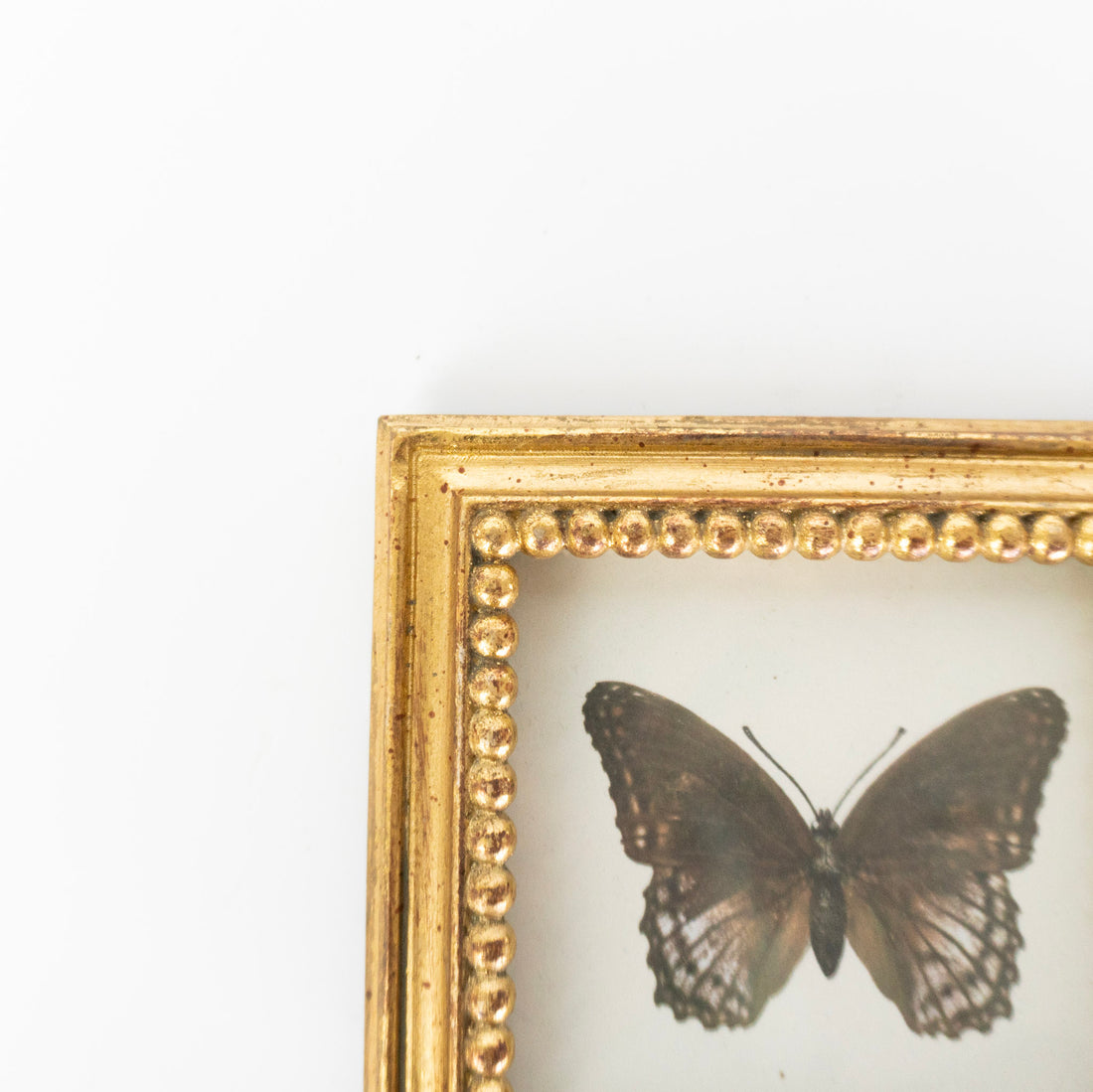 3x3 Vintage Gold Photo Frame