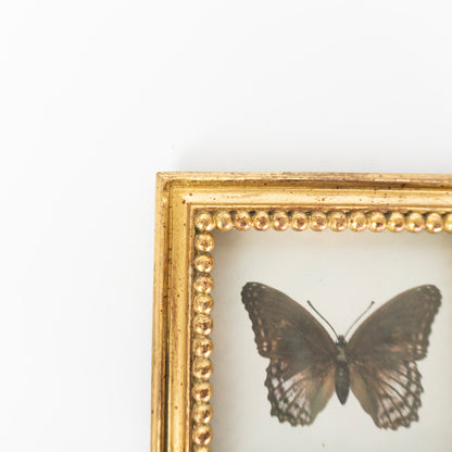 3x3 Vintage Gold Photo Frame