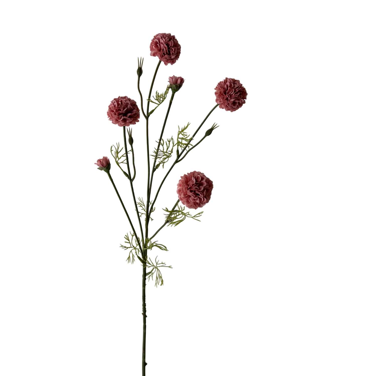 Chrysanthemum 32" Pink