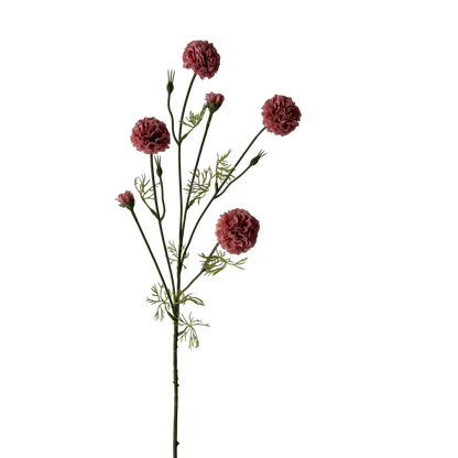 Chrysanthemum 32" Pink