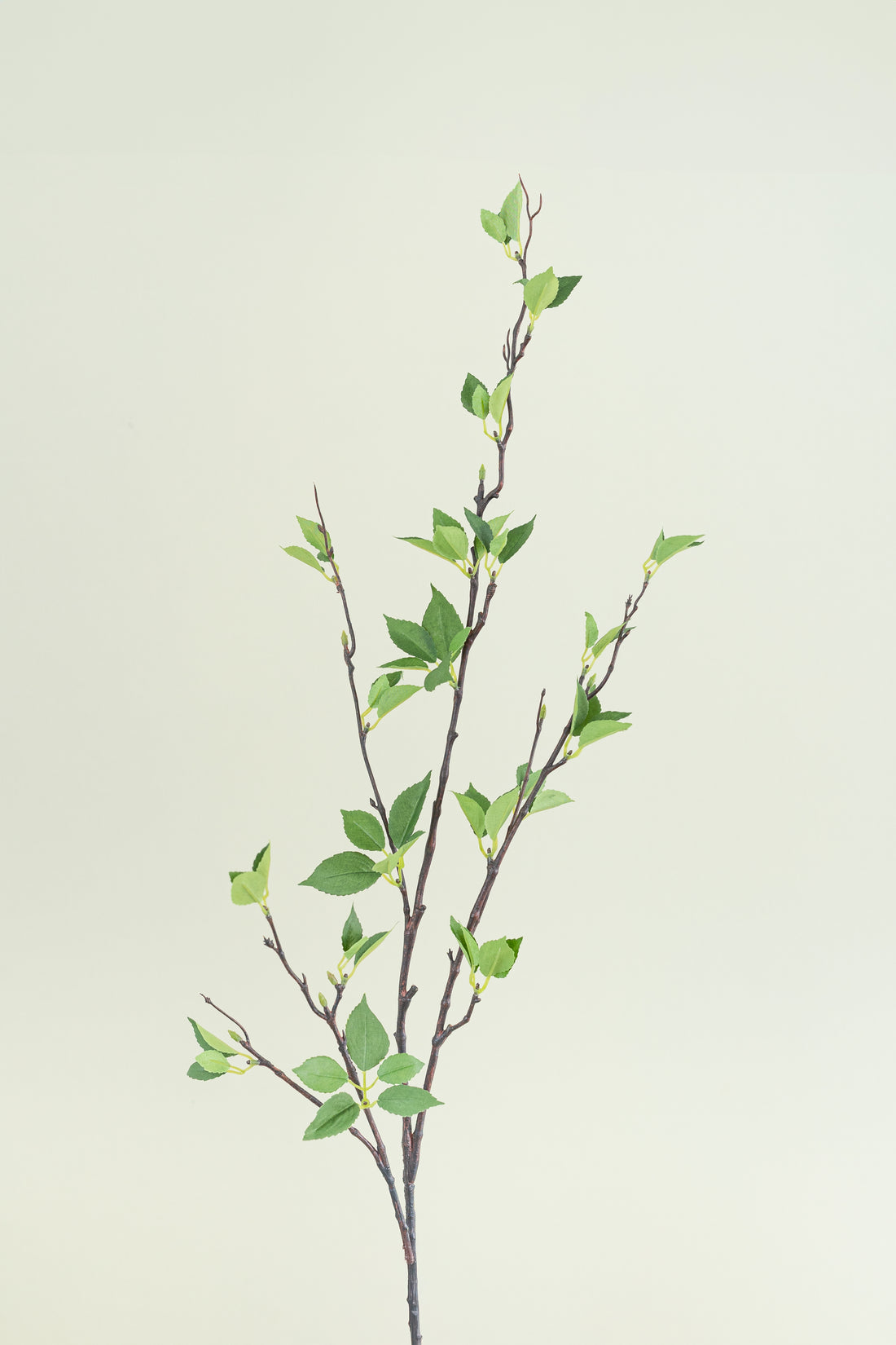 Green Leaf Branch Bundle