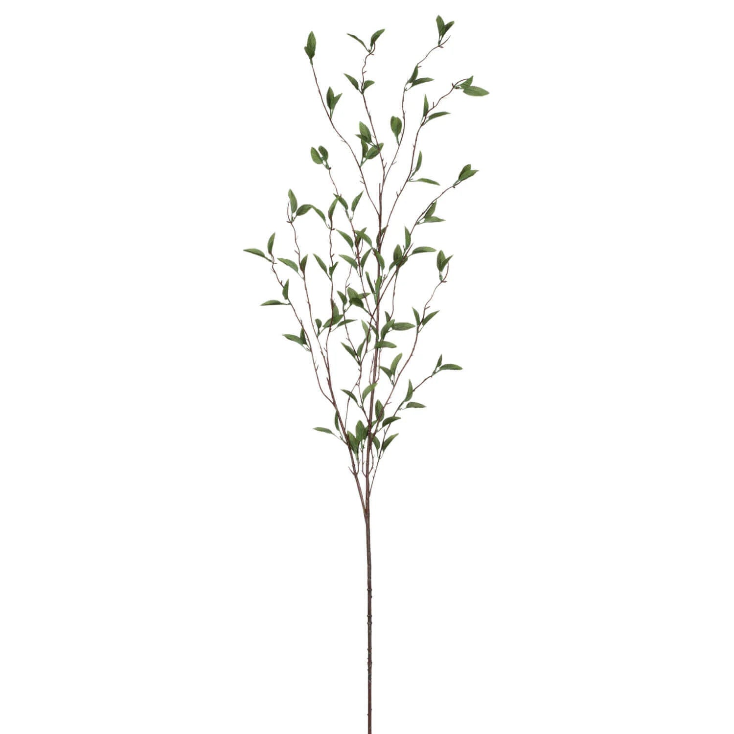 Foliage Branch - 52&quot;