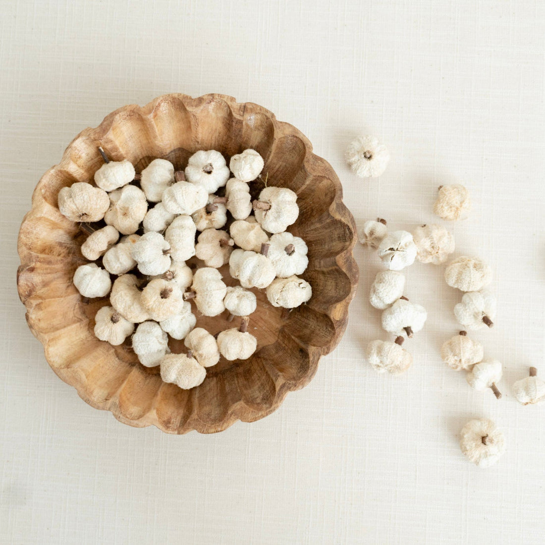 Wooden bowl filled with white dried pumpkins on a light background