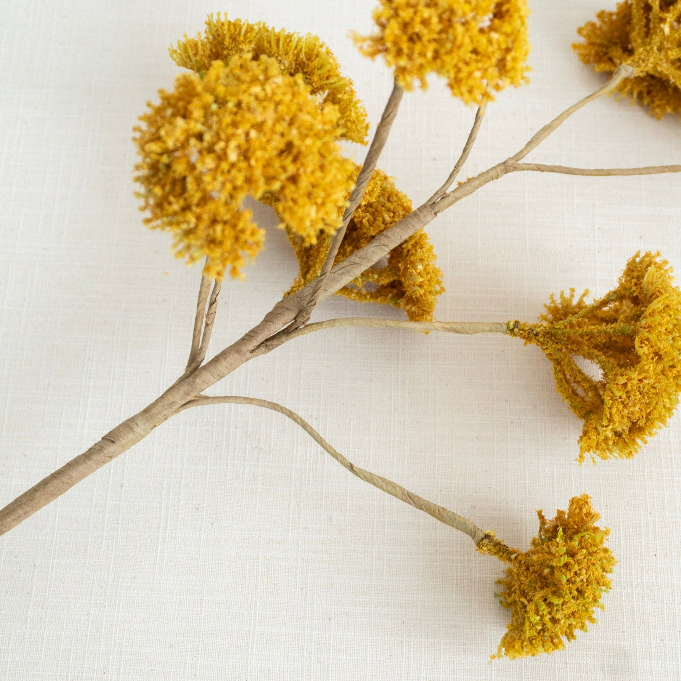 Yarrow Spray