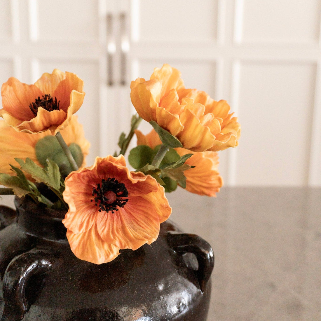 Light Orange Poppy Pairing