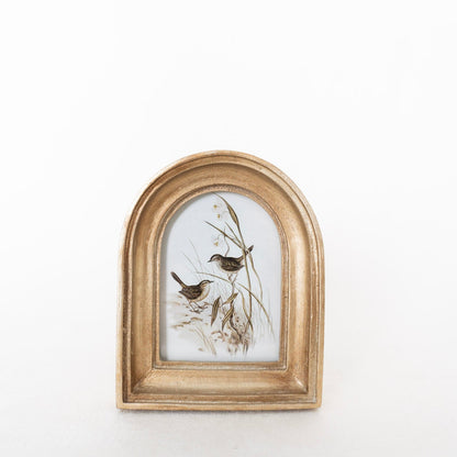 2x3 Gold Arch Frame