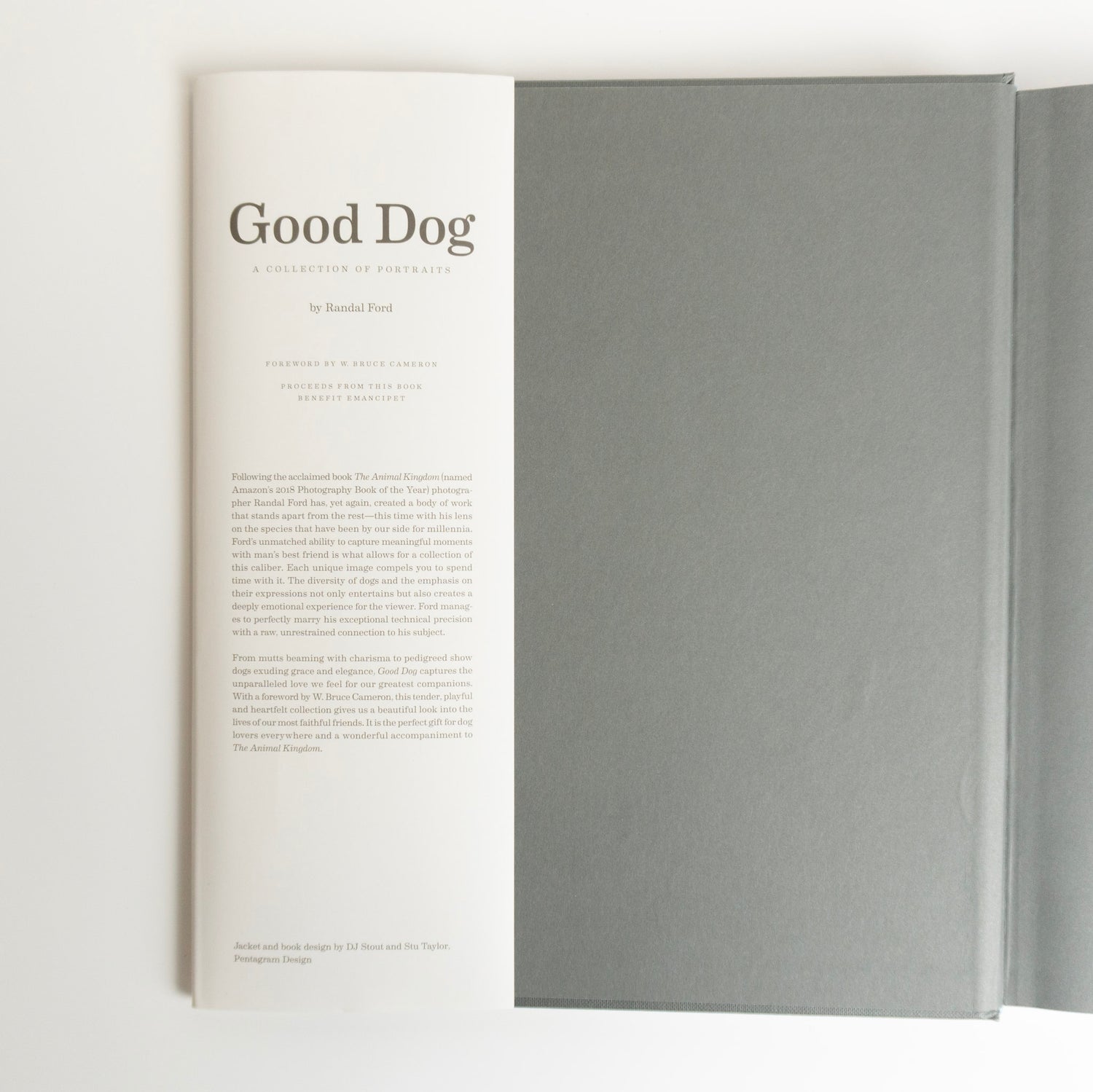Good Dog