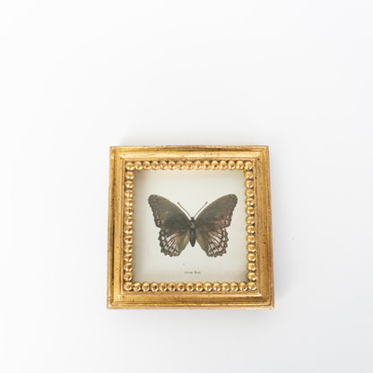 3x3 Vintage Gold Photo Frame