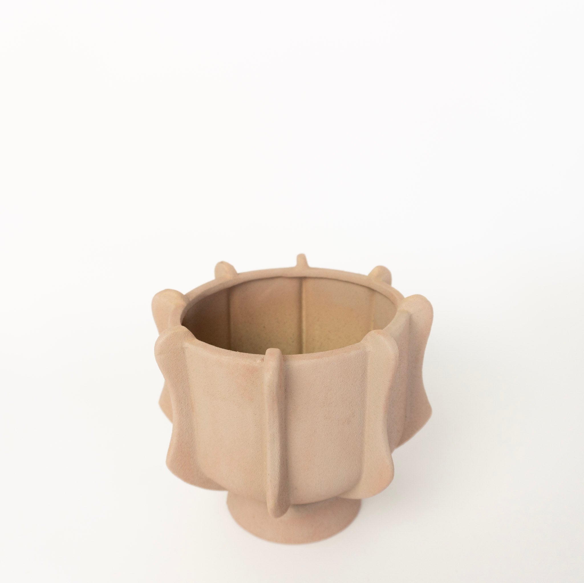 Claudia Compote