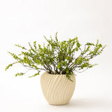 Stoneware Pleated Planter