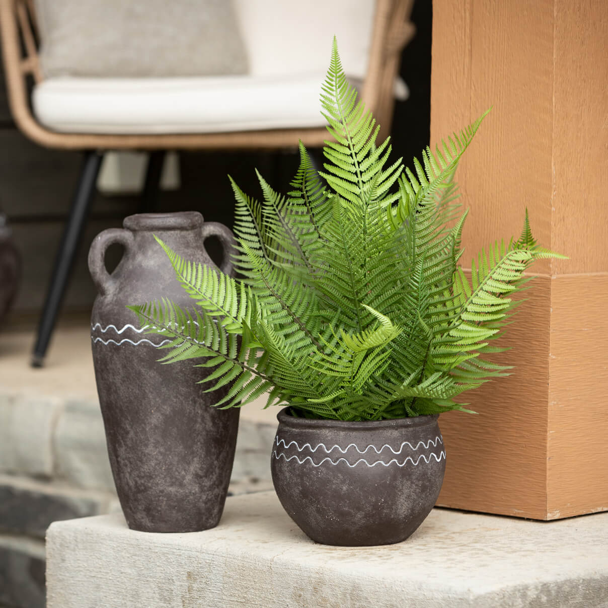 Potted Fern