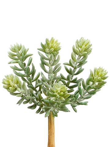 7" Soft Sedum Pick Green Gray
