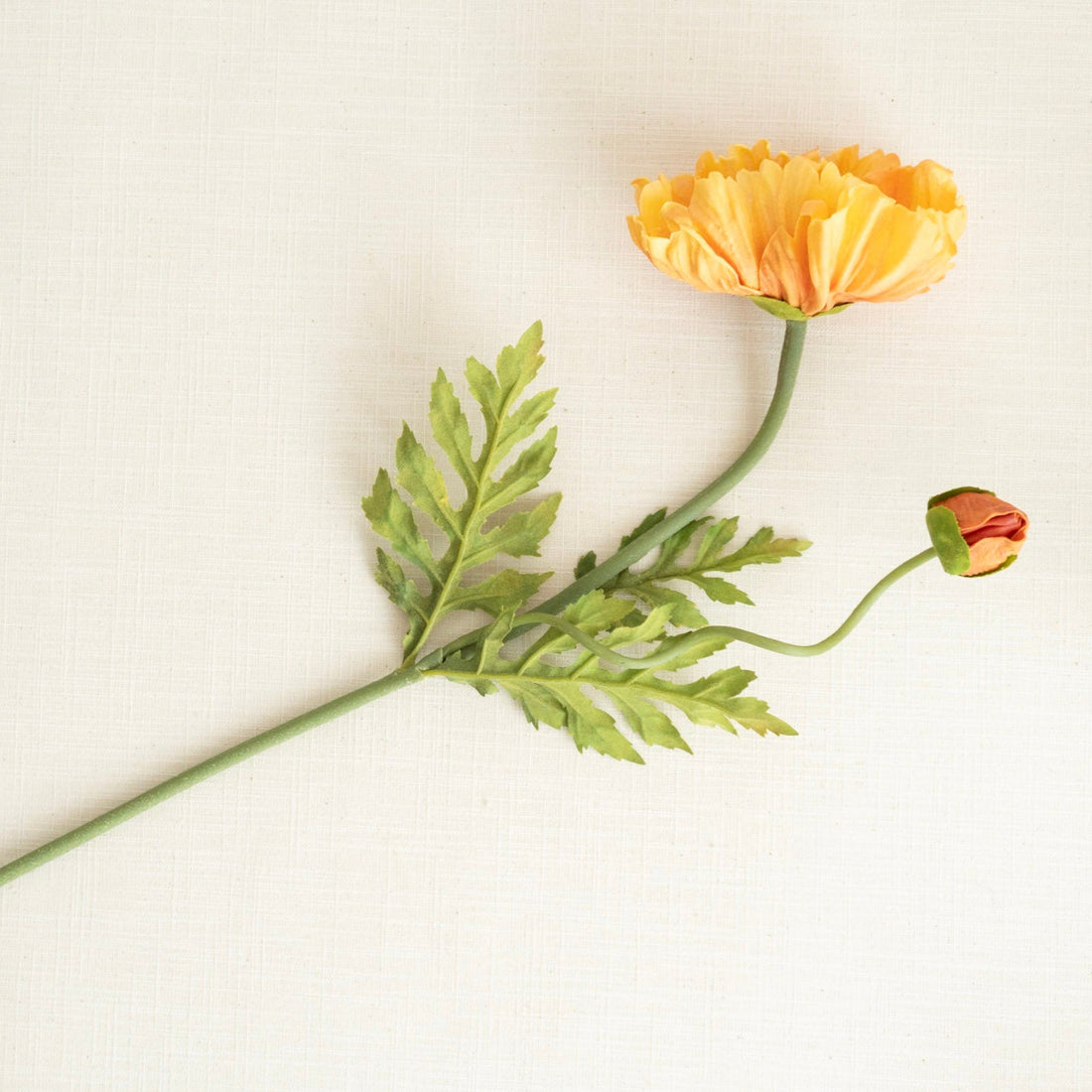 Light Orange Poppy