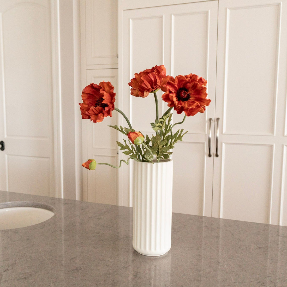 Orange Poppy
