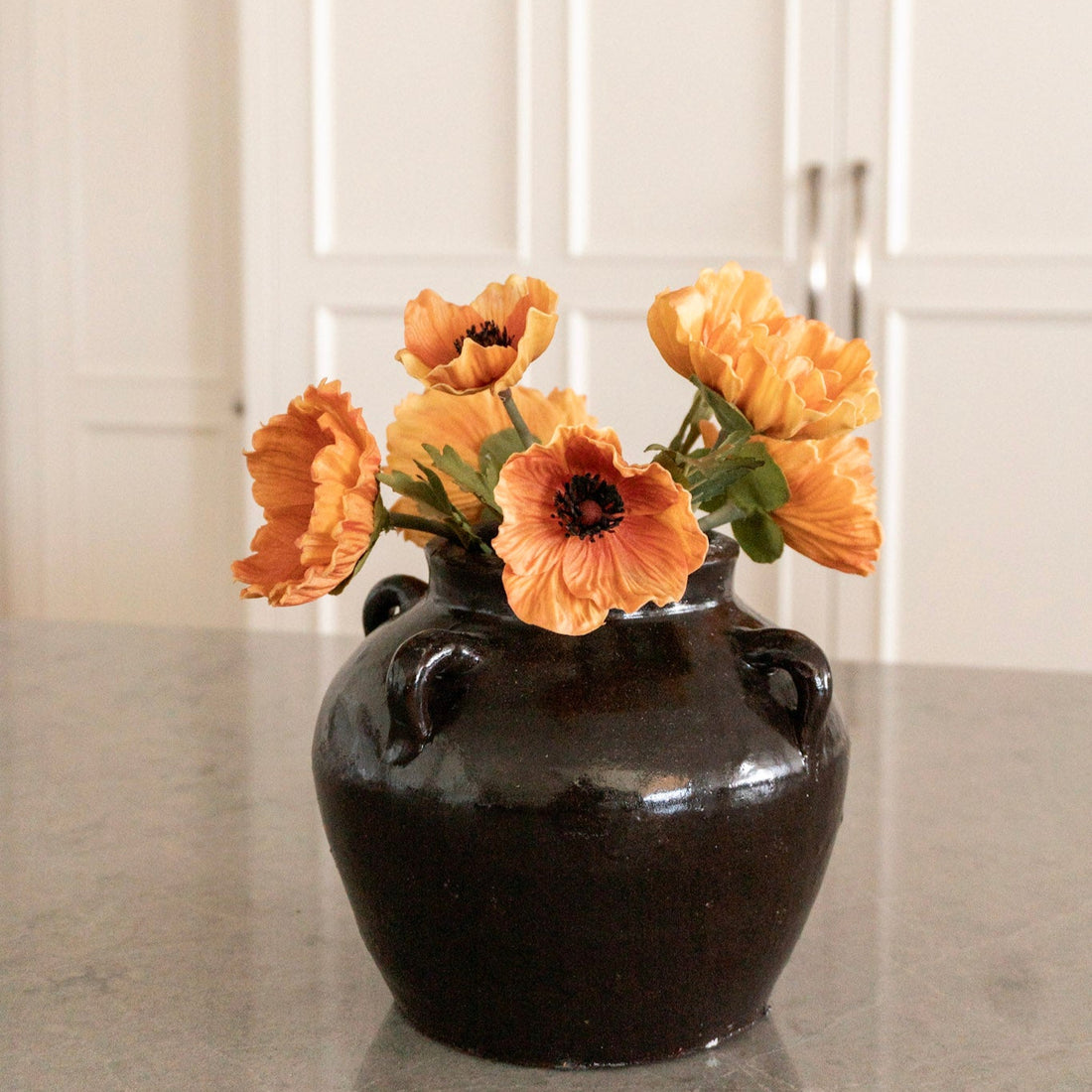 Light Orange Poppy Pairing
