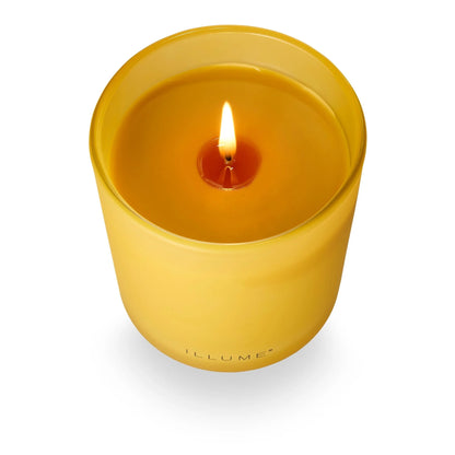 Rhubarb Honey Boxed Glass Candle