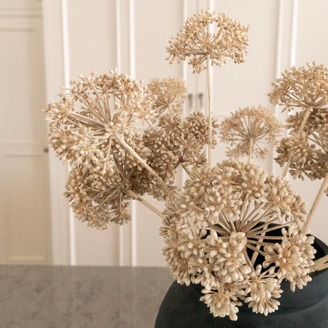 The Seed Pod Bundle