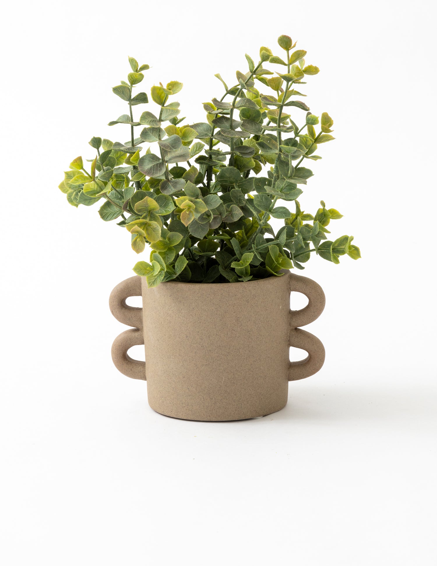 Cassia Vase &amp; Pot