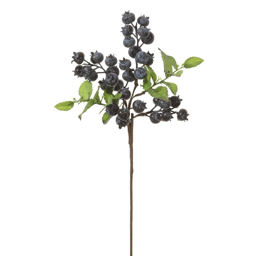 14" Blueberry Pick