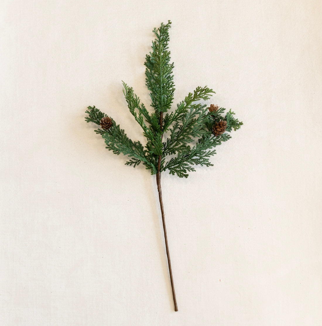 24&quot; Cypress &amp; Pine Cone Spray
