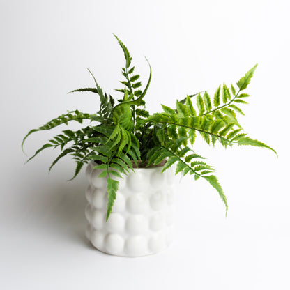 Bubble Pot