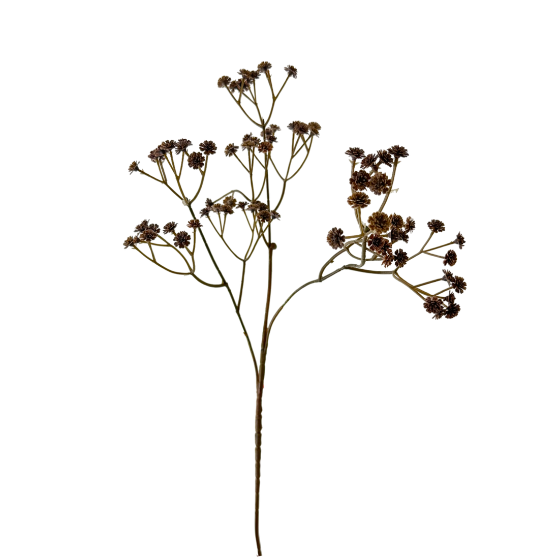 24" Brown Babysbreath